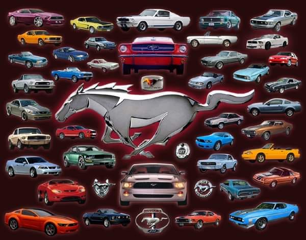 60th Anniversary of the Ford Mustang Celebration